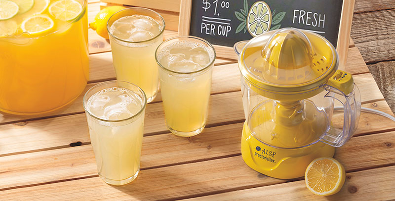 Alex's Lemonade Stand Citrus Juicer - Model 66339 Alex's Lemonade Stand Citrus Juicer - Model 66339
